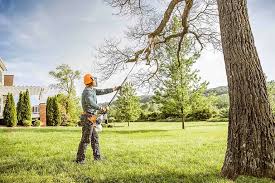 How Our Tree Care Process Works  in  Lake Bryan, TX